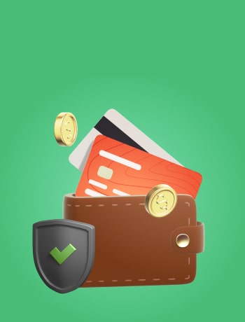 Wd Vgs Safe Payments W Opt